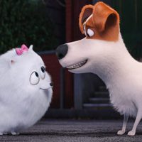 Foto de 'The Secret Life of Pets'