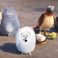 The Secret Life of Pets