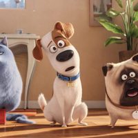 The Secret Life of Pets