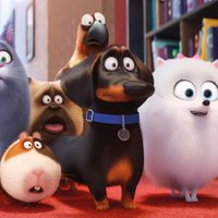 The Secret Life of Pets