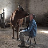 Foto de 'One Man and His Cow'