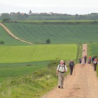 Walking the Camino: Six Ways to Santiago