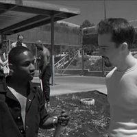 American History X