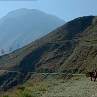 Courthouse on Horseback