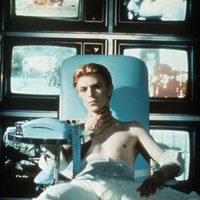 The Man Who Fell To Earth