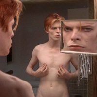 The Man Who Fell To Earth