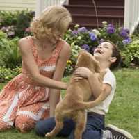 Foto de 'A Dog's Purpose'