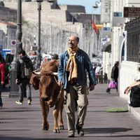 One Man and His Cow