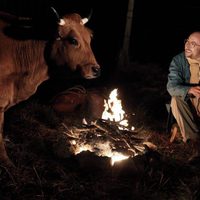 One Man and His Cow