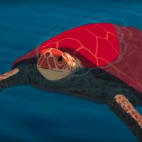 Foto de 'The Red Turtle'