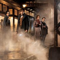 Fantastic Beasts and Where to Find Them