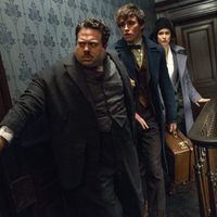 Fantastic Beasts and Where to Find Them