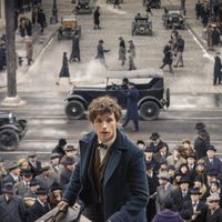 Fantastic Beasts and Where to Find Them