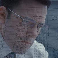 The Accountant