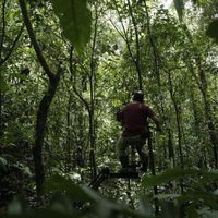 Foto de 'Violencia'