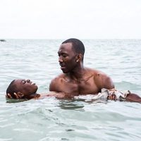 Foto de 'Moonlight'