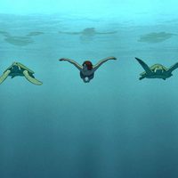 Foto de 'The Red Turtle'