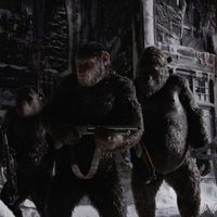 Foto de 'War for the Planet of the Apes'