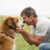 Foto de 'A Dog's Purpose'