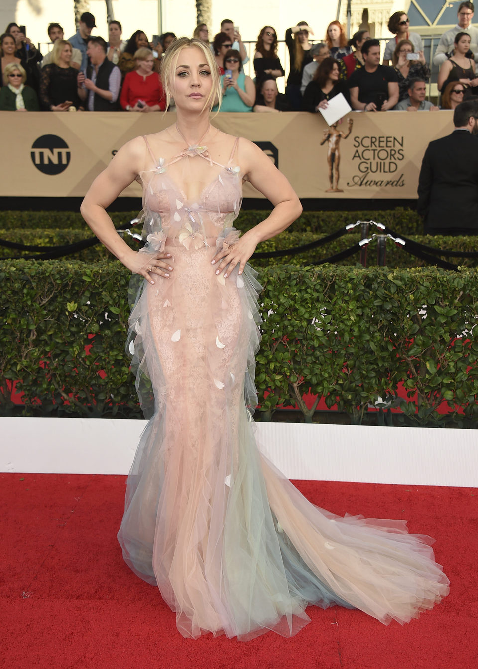 Kaley Couco at the red carpet of SAG Awards 2017