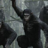 Foto de 'War for the Planet of the Apes'