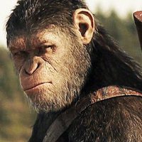 Foto de 'War for the Planet of the Apes'