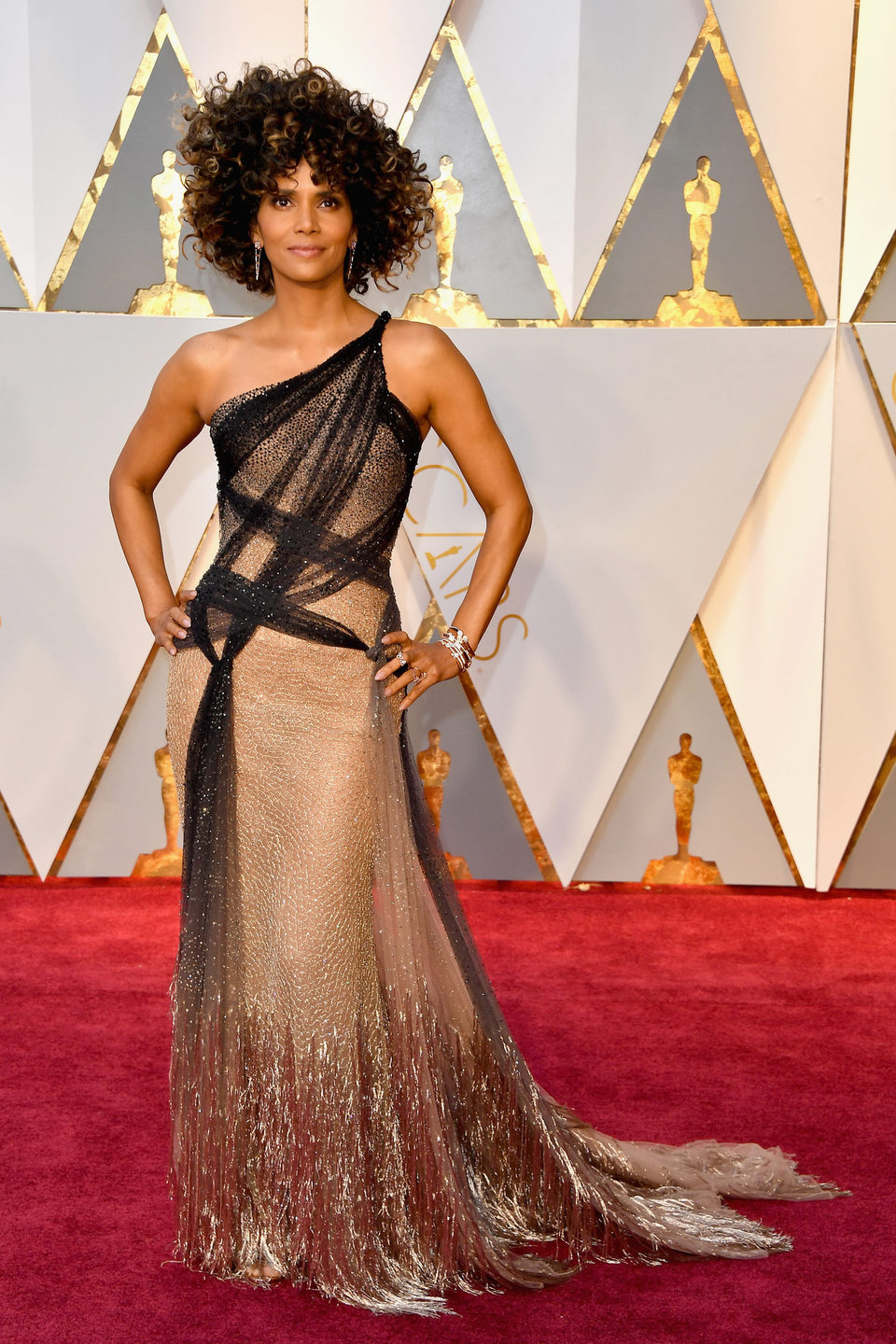 Halle Berry at the Oscars 2017 red carpet