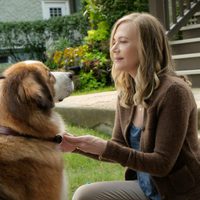 Foto de 'A Dog's Purpose'