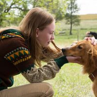 Foto de 'A Dog's Purpose'