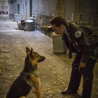 Foto de 'A Dog's Purpose'