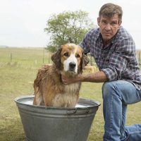 Foto de 'A Dog's Purpose'