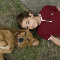 Foto de 'A Dog's Purpose'