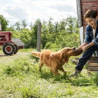 Foto de 'A Dog's Purpose'