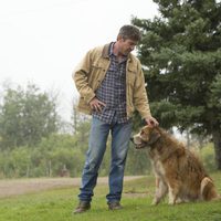 Foto de 'A Dog's Purpose'