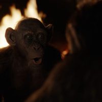 Foto de 'War for the Planet of the Apes'