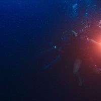 47 Meters Down