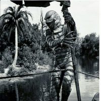 Foto de 'Creature from the Black Lagoon'