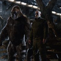 Foto de 'War for the Planet of the Apes'