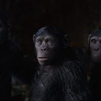 Foto de 'War for the Planet of the Apes'