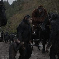 Foto de 'War for the Planet of the Apes'