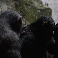 Foto de 'War for the Planet of the Apes'