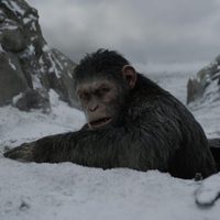 Foto de 'War for the Planet of the Apes'