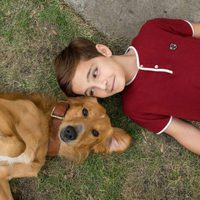 Foto de 'A Dog's Purpose'