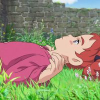 Mary and the Witch's Flower