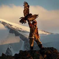 The Eagle Huntress