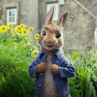 Foto de 'Peter Rabbit'