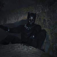 Foto de 'Black Panther'