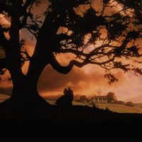 Foto de 'Gone With the Wind'