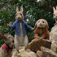 Foto de 'Peter Rabbit'