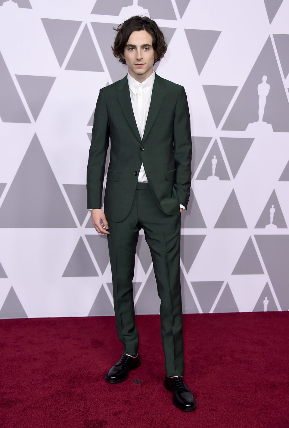 Timothée Chalamet Oscar Nominees Luncheon 2018